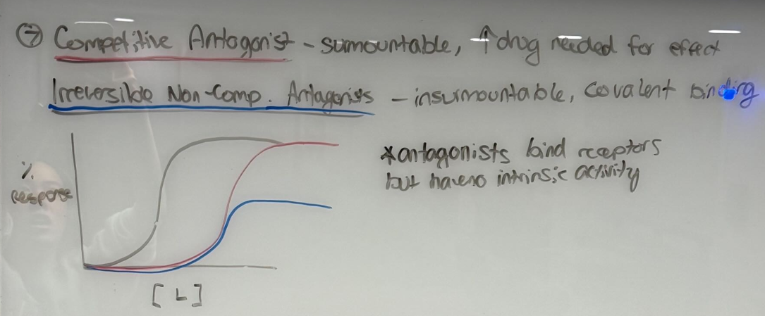 <p>Competitive antagonist - surmountable, more drug needed for effect</p><p>Irreversible non-competitive antagonists - insurmountable, covalent binding</p>