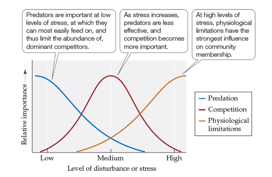 <p>What does Blue Line Show in Menge–Sutherland Model (Figure 19.19)</p>