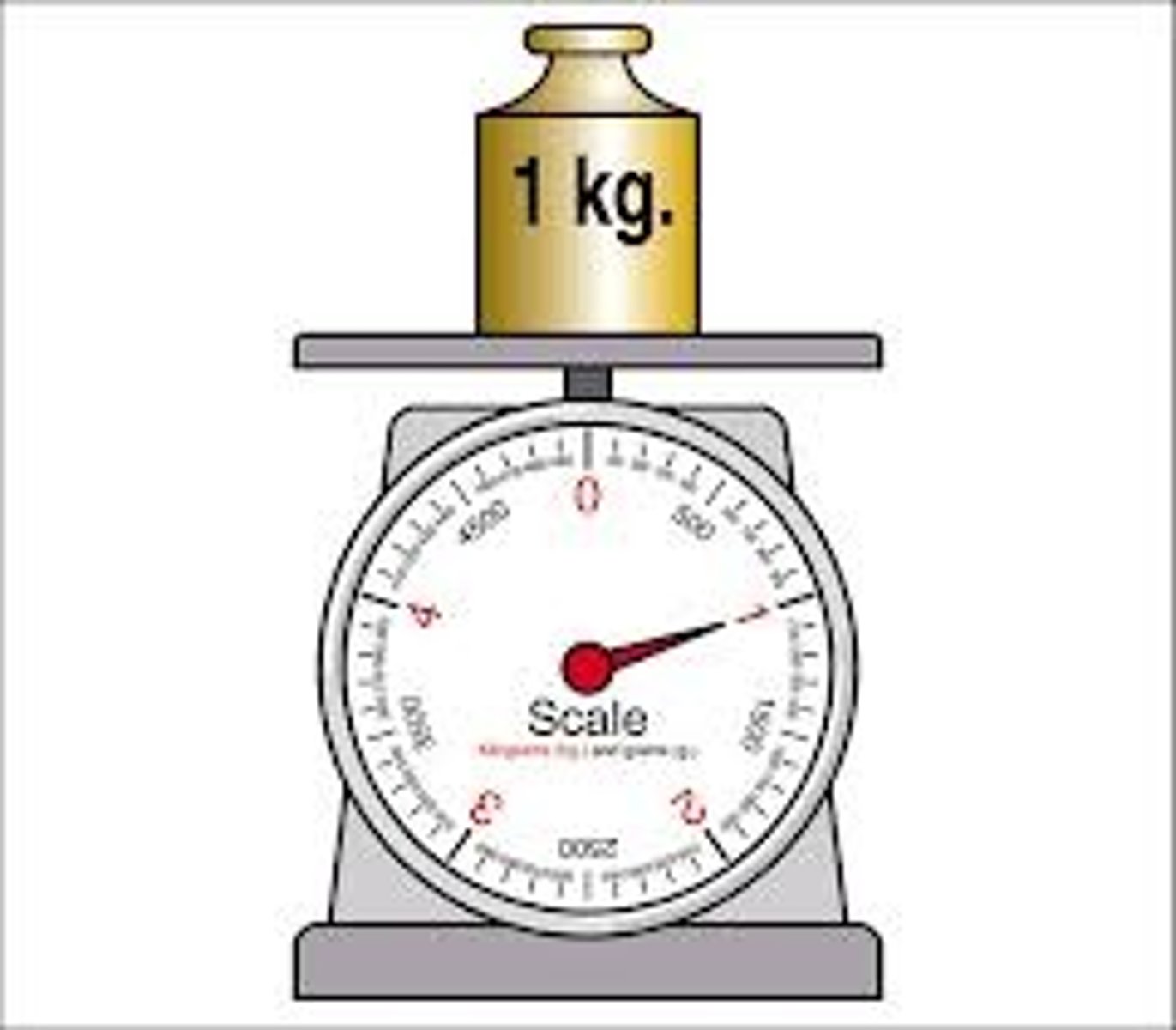 <p>The SI unit for mass</p>