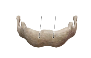 <p><span>Name the structure <u>and the bone</u>.</span></p>