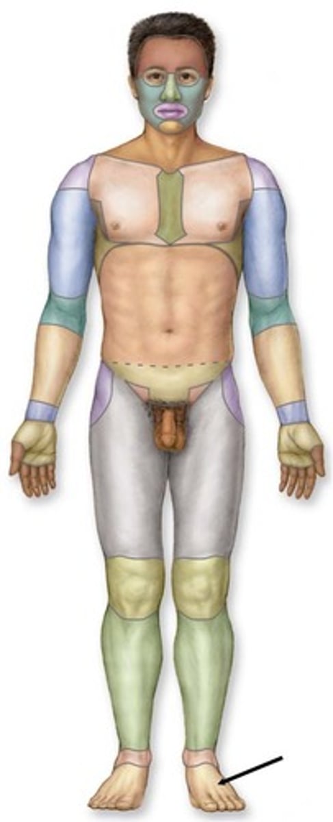 knowt flashcard image