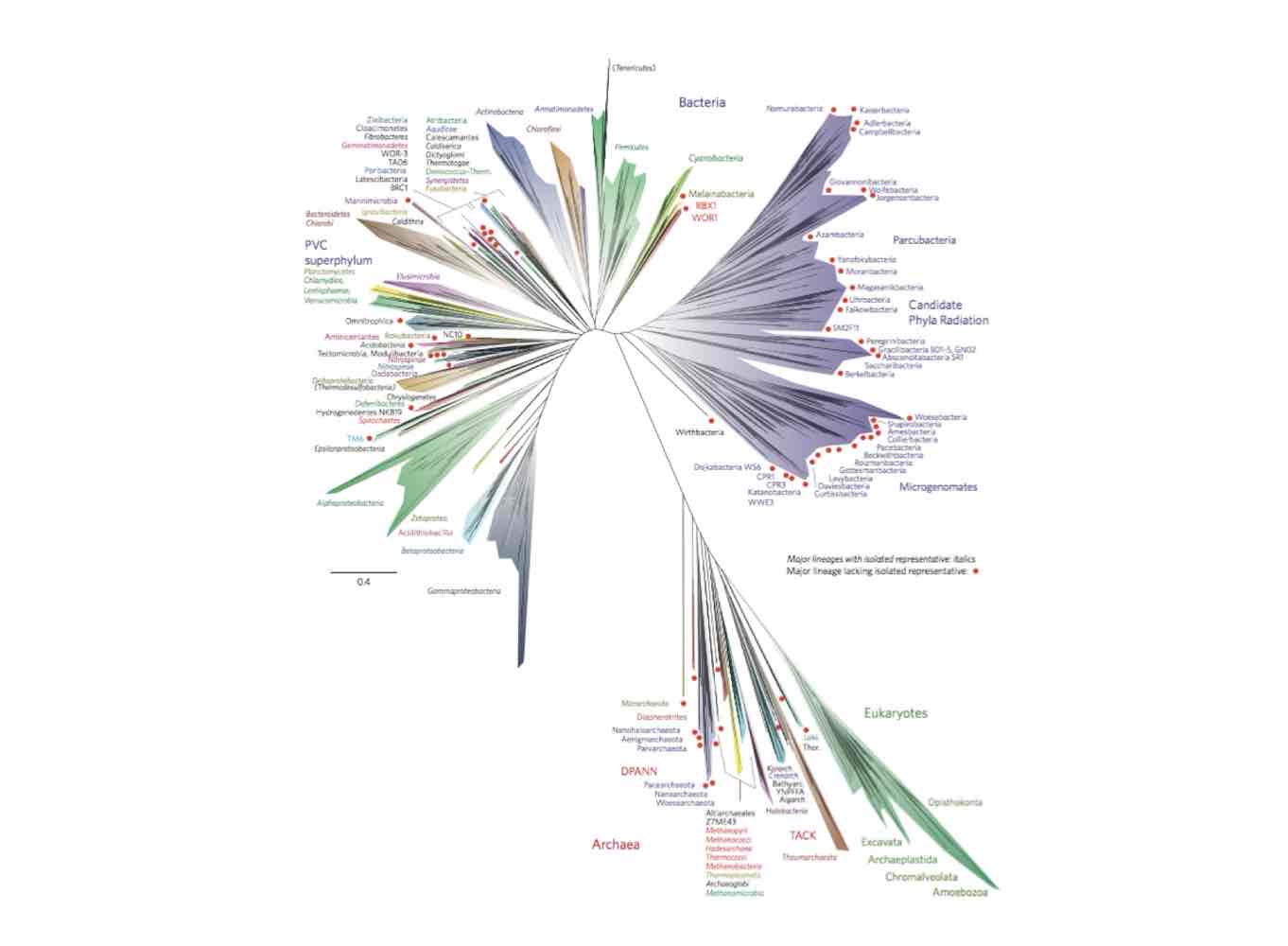 <p>Phyla only known from metagenome sequencing.</p>