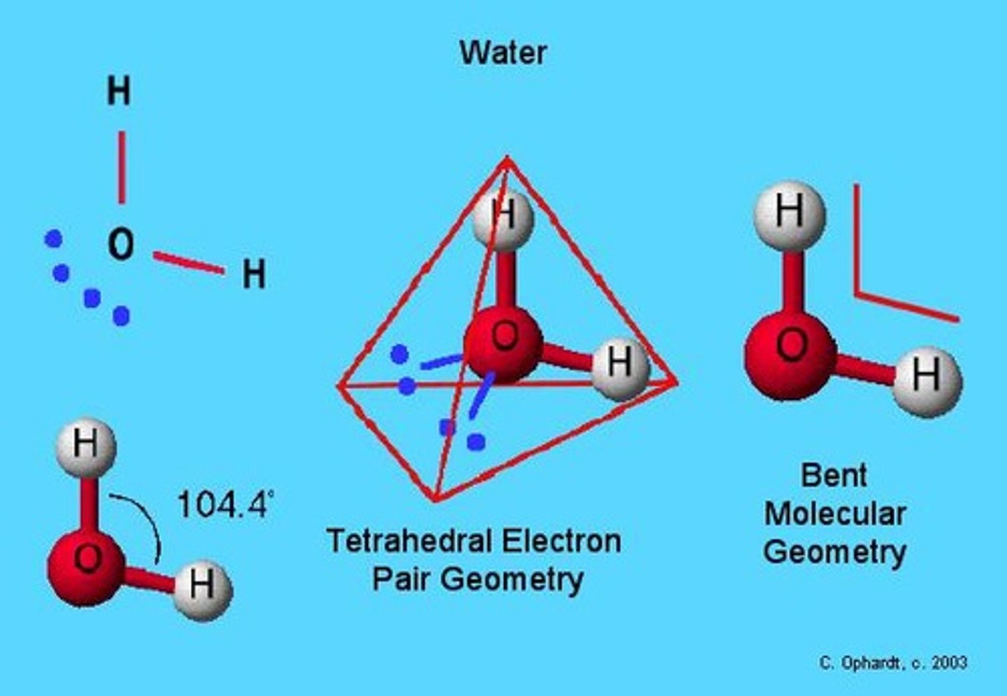 <p>Water (H2O) is an example of a bent molecule.</p>