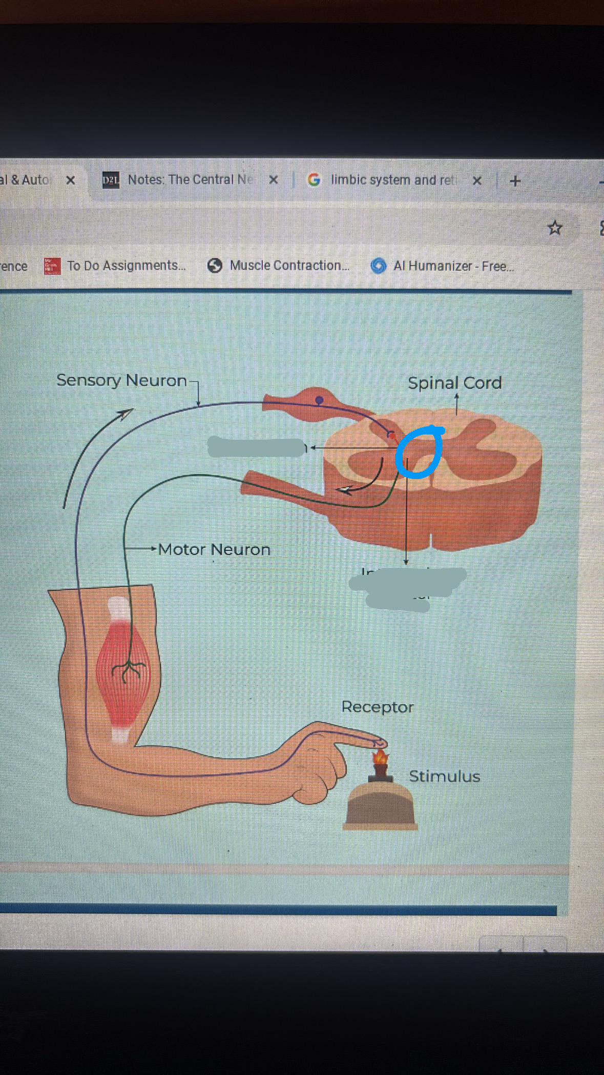 knowt flashcard image