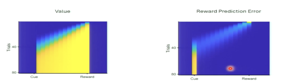 <p>value: as learning advances, value gets assigned to earlier and earlier moments until it reaches the reward predicting cue (no information before then)</p><p>RPE moves from reward time to time of cue </p>