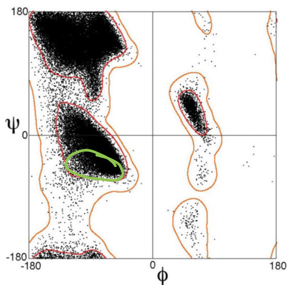 <p>what secondary structure is indicated by the green circle?</p>