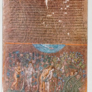 term image