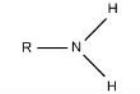 <p>What is this functional group</p>