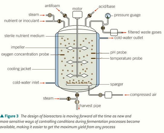 <p>temperature, nutrients and oxygen, asepsis, mixing</p>