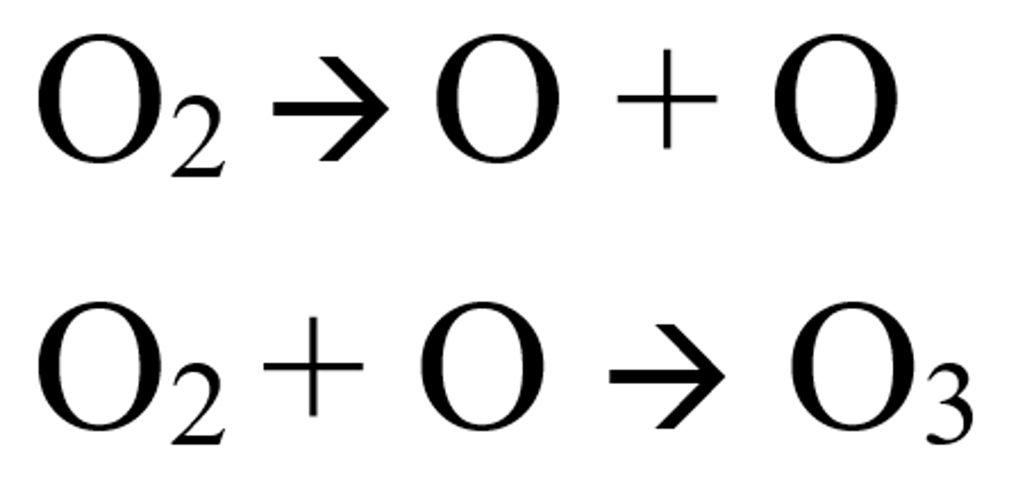 <p>- The oxygen molecules split by UV radiation to form oxygen free radicals</p><p>- The oxygen radicals react to form ozone</p>