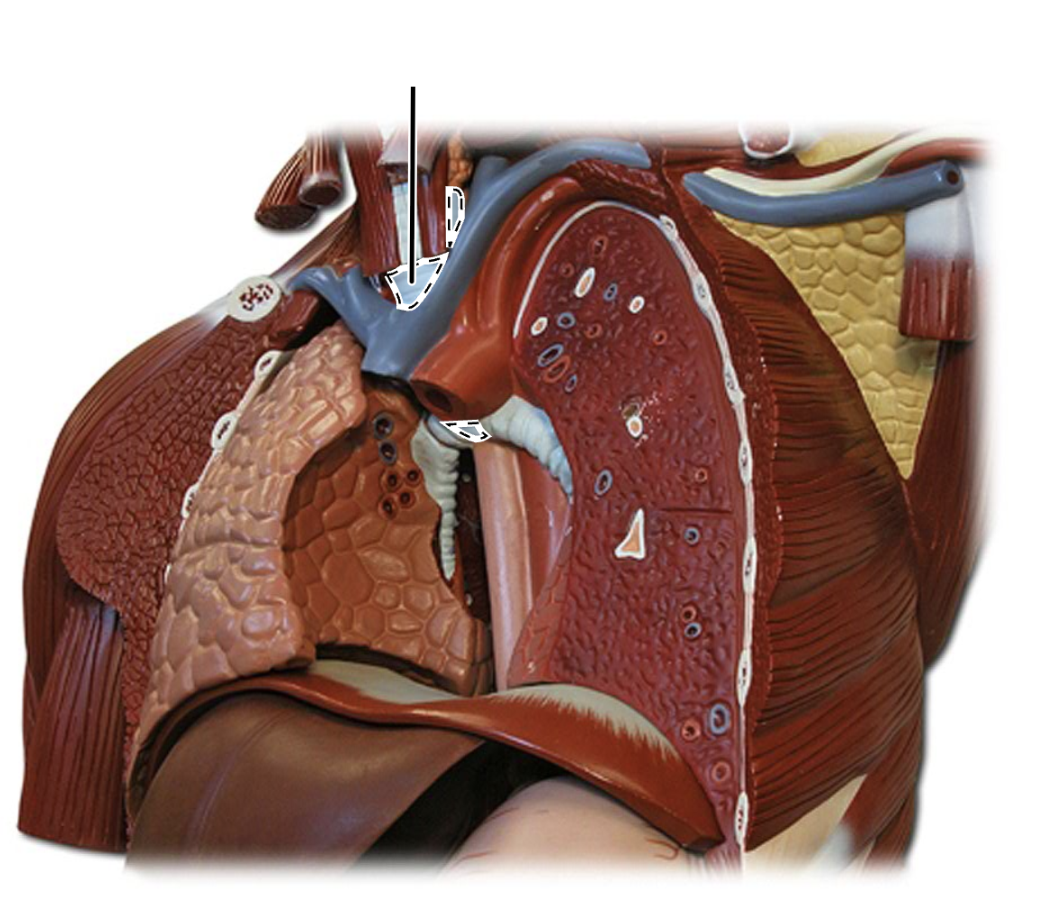 <p>What is this?</p>