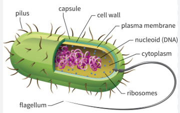 <p>What is this?</p>