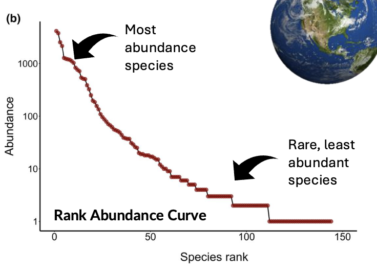 <ul><li><p>Changes can indicate how evenness is changing, loss of species, introduced species, reordering of species dominance</p></li><li><p>These changes require effort to detect, which most countries simply do not have the resources for. </p></li></ul><p></p>