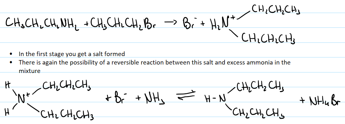<p>reaction continues from making a primary amine</p><p>same two stages:</p><ol><li><p>first stage forms a salt</p></li><li><p>reversible reaction between salt and excess ammonia in the mixture to form a secondary amine</p></li></ol><p></p>