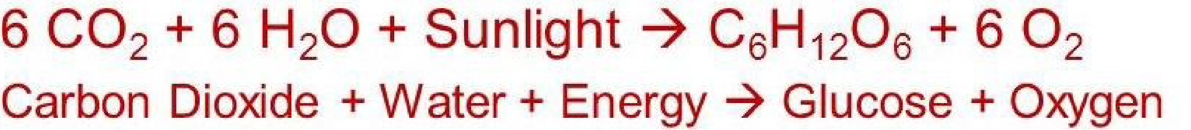 <p>photosynthesis- <span style="font-family: sans-serif">Harvesting of light energy and conversion into a usable chemical form of energy (glucose) = CONVERSION and STORAGE of energy. </span></p>