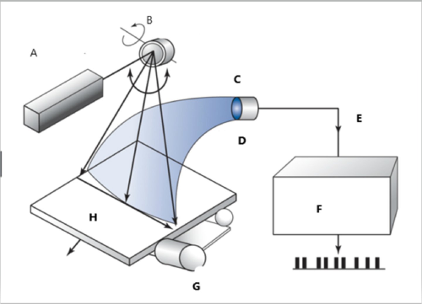 <p>B</p>