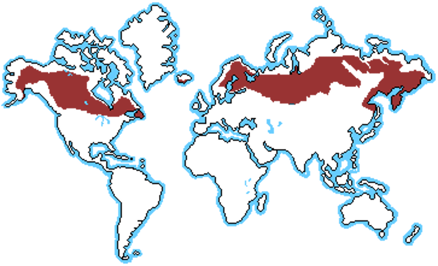 <p>A forest biome made up primarily of coniferous evergreen trees that can tolerate cold winters and short growing seasons</p>