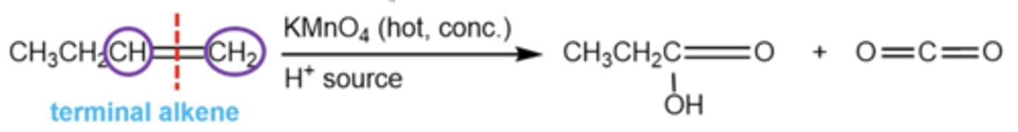 <p>the same ozonolysis will occur, except the terminal carbon will be converted into CO2, because all connected hydrogens on the terminal end get converted to O's</p>