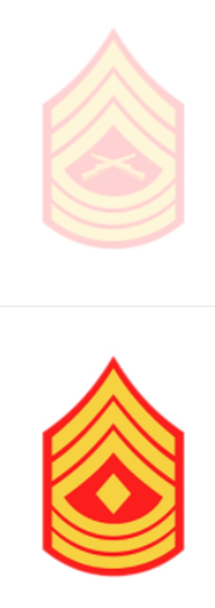 <p>Master Sergeant (MSgt)/First Sergeant (1SG)</p><p>Three chevrons with crossed rifles and three rockers</p><p>OR</p><p>Three chevrons with a diamond and three rockers</p>