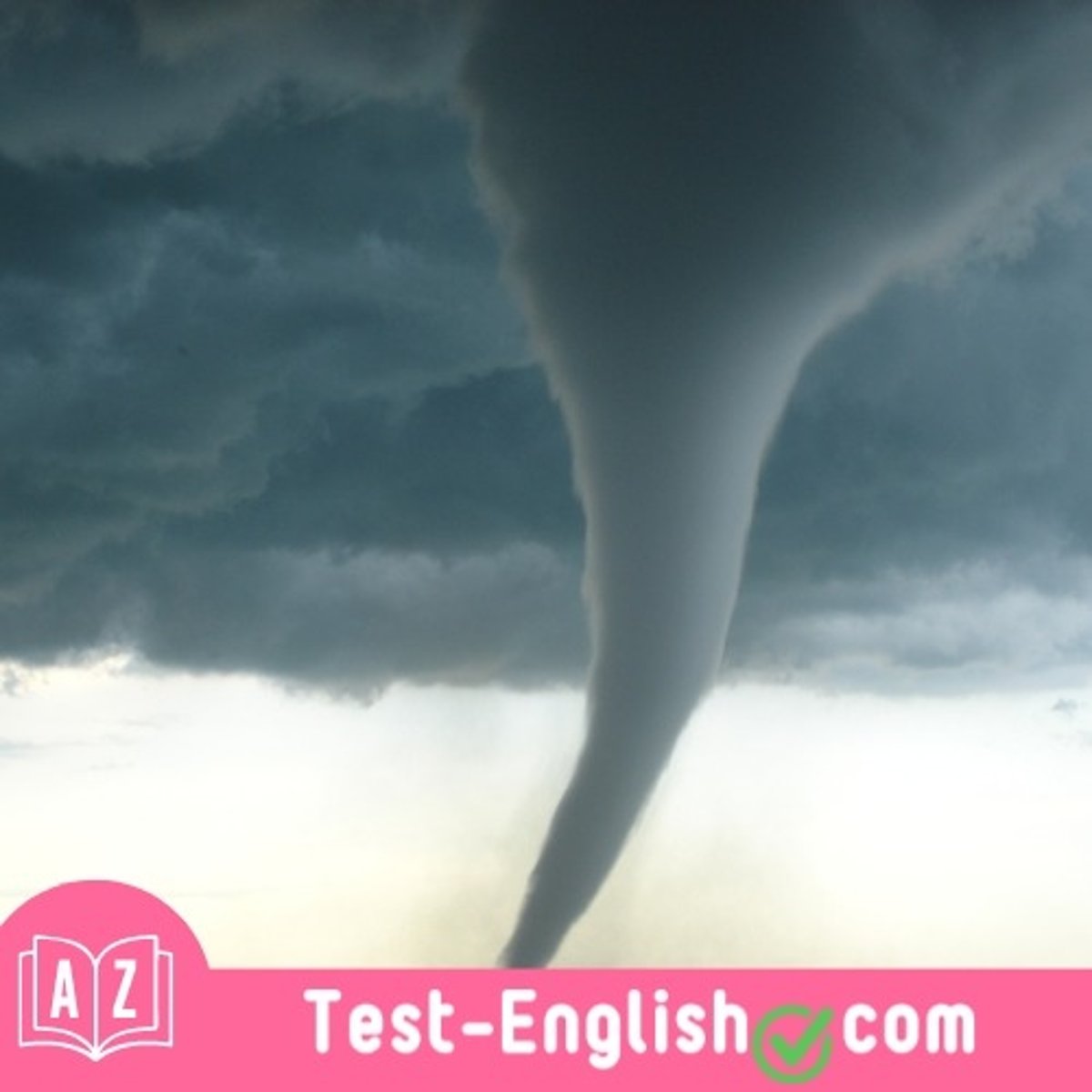 <p>The _____ caused extensive damage to homes and uprooted trees along its path</p>