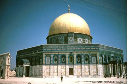 <p>What is this?</p>