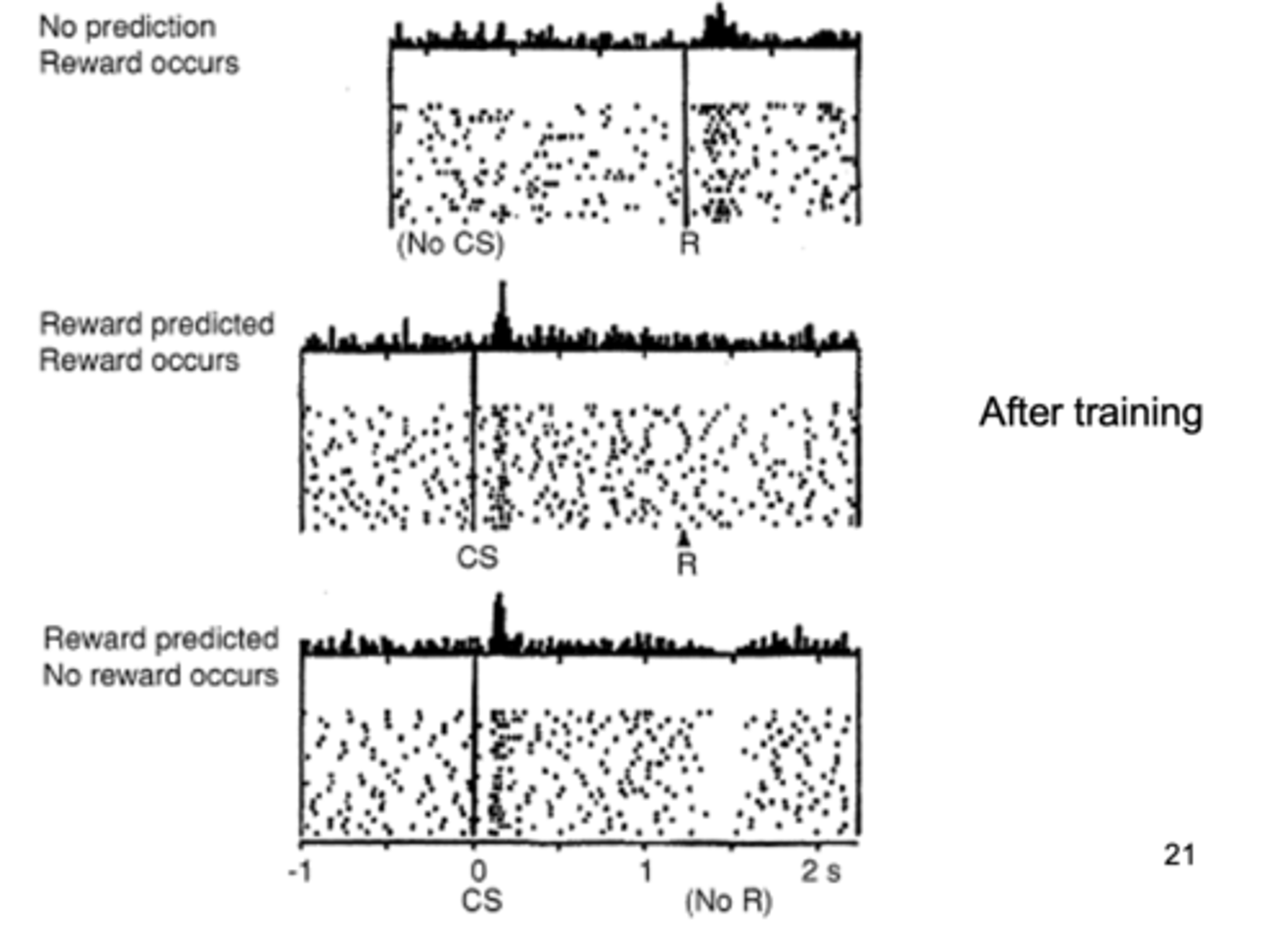 <p>dopamine activation <span style="text-decoration:underline">drops</span> when reward does not come when expected</p><p>- when no CS, dopamine linked to <span style="text-decoration:underline">surprise</span> of the reward</p>