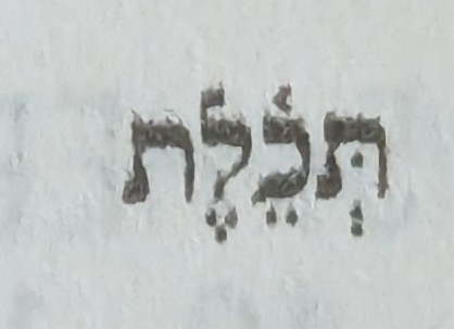 term image
