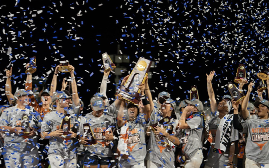 <p><strong>Softball</strong></p>