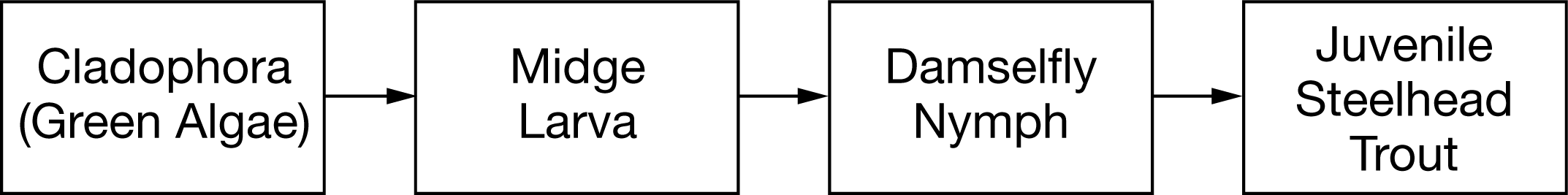 <p>High concentrations of cadmium in the water negatively affect steelhead trout. In a river community, steelhead trout are part of the trophic structure shown in Figure 1.—-Figure 1. The trophic structure of a river community—Which of the following is the most likely immediate effect of an increase in runoff containing cadmium on the trophic structure of the river community?</p><p>A) The population of Cladophora will decrease, resulting in an increase in the trout population.</p><p>B) There will be a large decrease in the trout population, resulting in an increase in damselfly nymphs.</p><p>C) Increased stream volume will provide more area for the trout to reproduce, causing a large increase in the population of algae.</p><p>D) The population of trout will decrease because the population of damselfly nymphs will decline.</p>