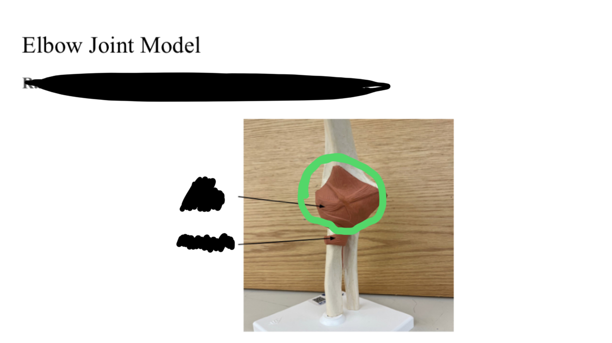 <p></p>