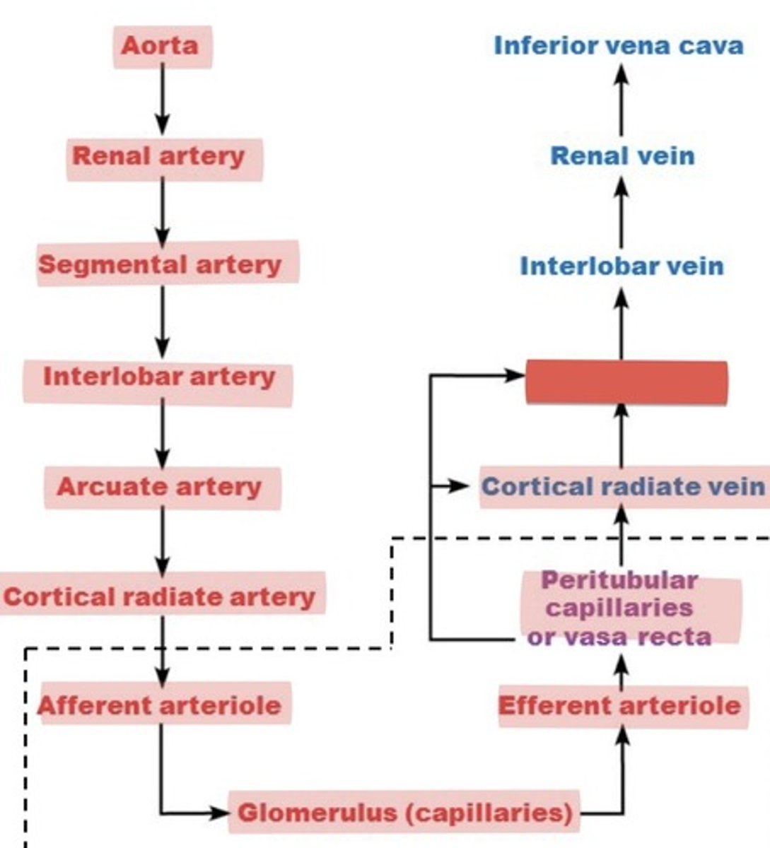 <p>What is this?</p>