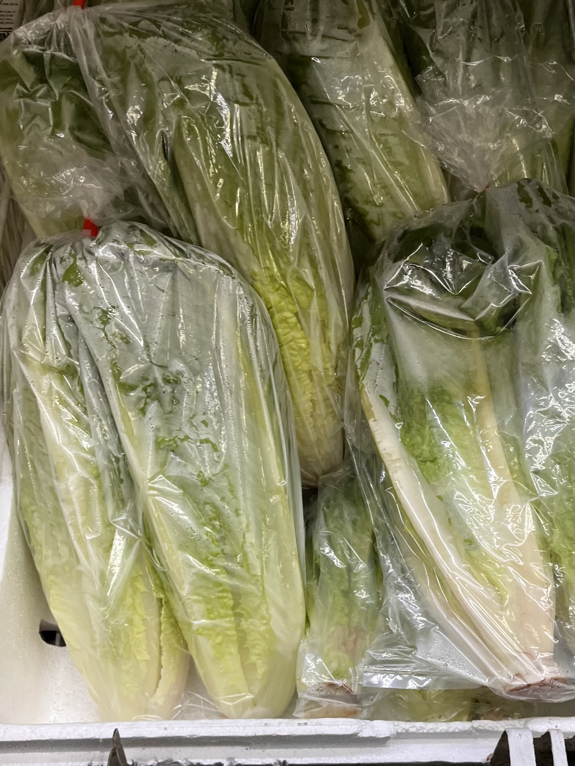 <p>ROMAINE HEARTS</p>