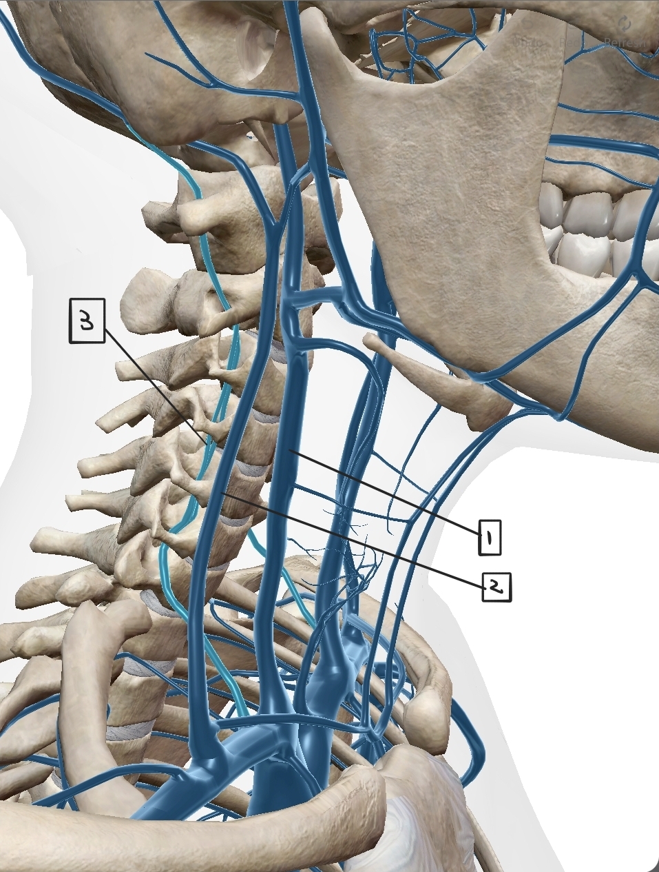 <p>What are these?</p>