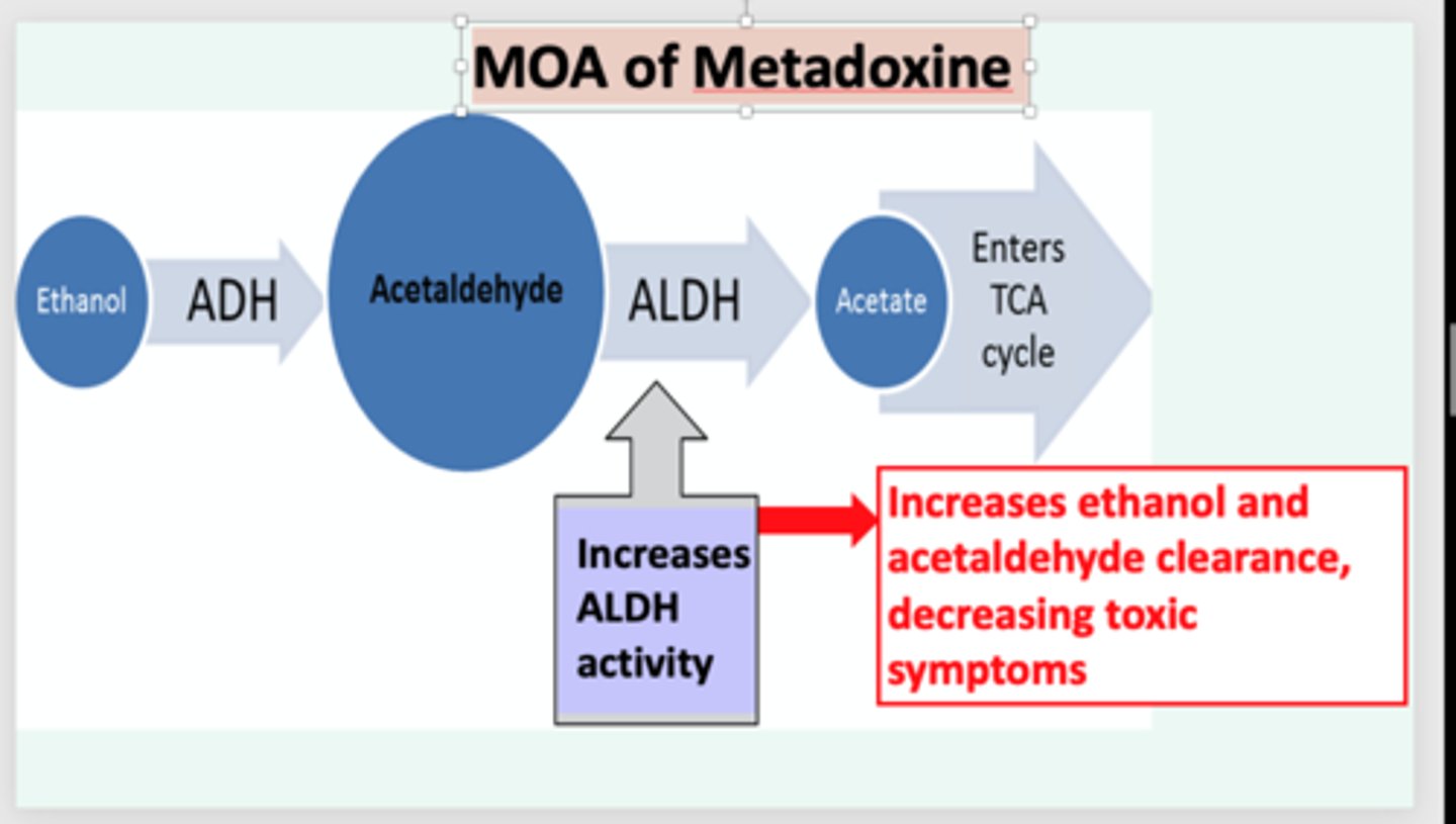 <p>- Metadoxine, IV</p><p>- fx: induces alcohol dehydrogenase metabolism</p><p>- IV fluids</p>