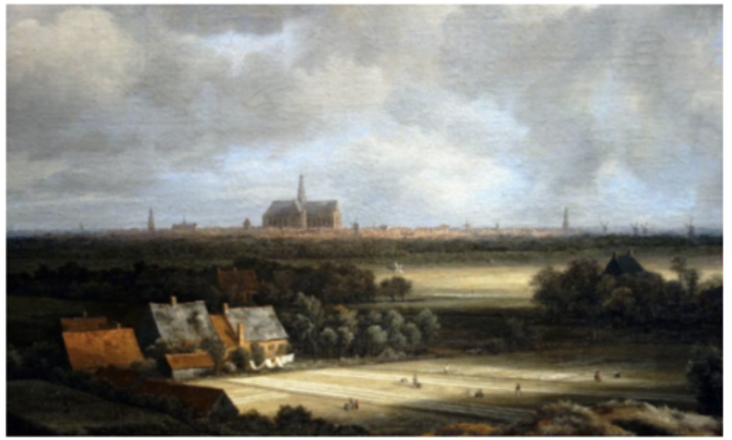 <p>landscape</p><p>baroque</p><p>The church in the background is called Saint Bavo</p><p>This is Haarlem, where he lived</p>