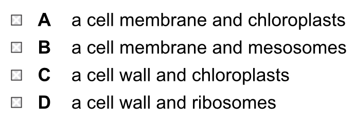 <p>What do prokaryotic cells and plant cells both contain?</p>