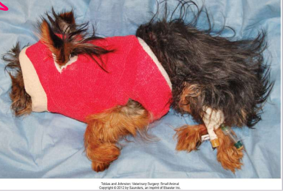 <p>Treatment for atlantoaxial instability </p>