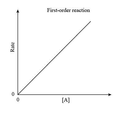 <ul><li><p>As concentration doubles the rate also doubles (as concentration triples the rate triples etc)</p></li><li><p>The rate and concentration are indirectly proportional to each other</p></li><li><p>Rate = k[A]</p></li></ul><p></p><p></p>