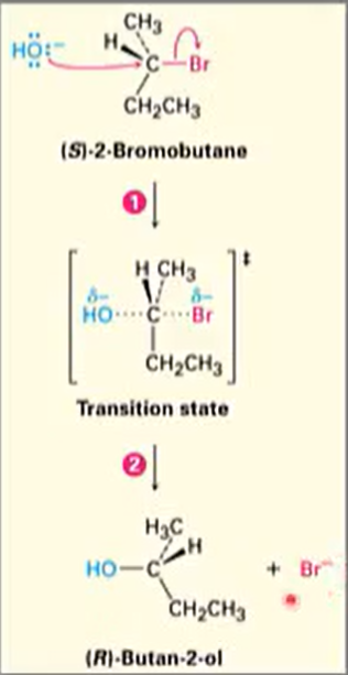 <ul><li><p>Reaction takes place in a single step</p></li><li><p>Incoming nucleophile appraoches from a direction 180<sup>o</sup> away from the leaving halide ion, thereby inverting hte stereochemistry at carbon. </p></li><li><p>e.g. Reaction goes from S to R</p></li></ul><p></p>