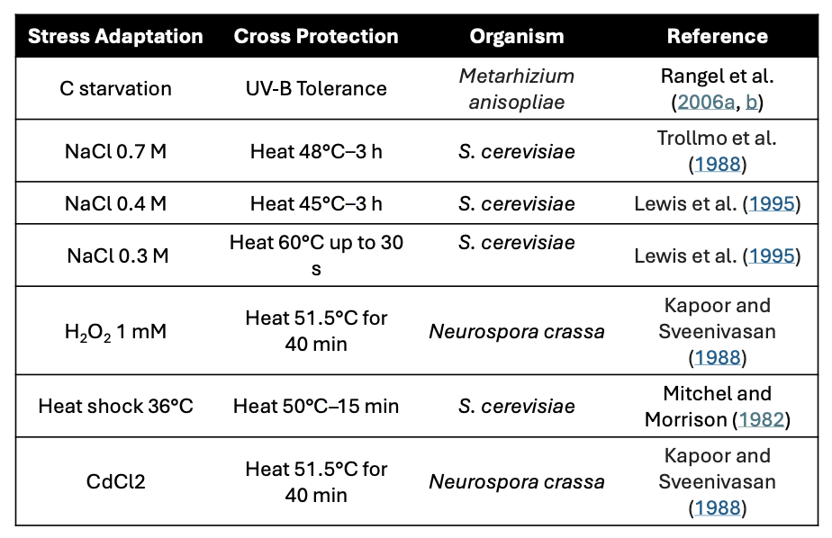 <p><strong><em><u>pth</u></em></strong></p><ul><li><p><strong>Pigments:</strong> produced differently depending on <u>genetics, growth substrate, geography</u></p></li><li><p><strong>Trehalose:</strong> sugar isomer of maltose that <u>forms H bonds with phospholipids</u>, preventing denaturation of proteins + stabilizing membrane under heat stress</p></li><li><p><strong>Heat-shock proteins (HSP60-like protein complex): </strong>prevent misfolding of proteins under heat stress, <u>ensure proper folding</u></p><ul><li><p>ATP-powered</p></li></ul></li></ul><p></p><p><em>*Compounds and structures include specific organelles that provide protection and/or stability in response to temperature stress</em></p>
