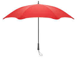 <p>Un parapluie</p>