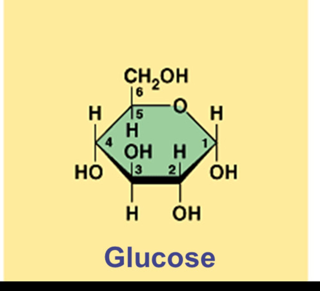 <p>A single sugar molecule such as glucose or fructose, the simplest type of sugar; monomer of complex carbohydrates</p>