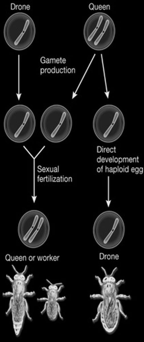 <p>potentially, zero.</p>
