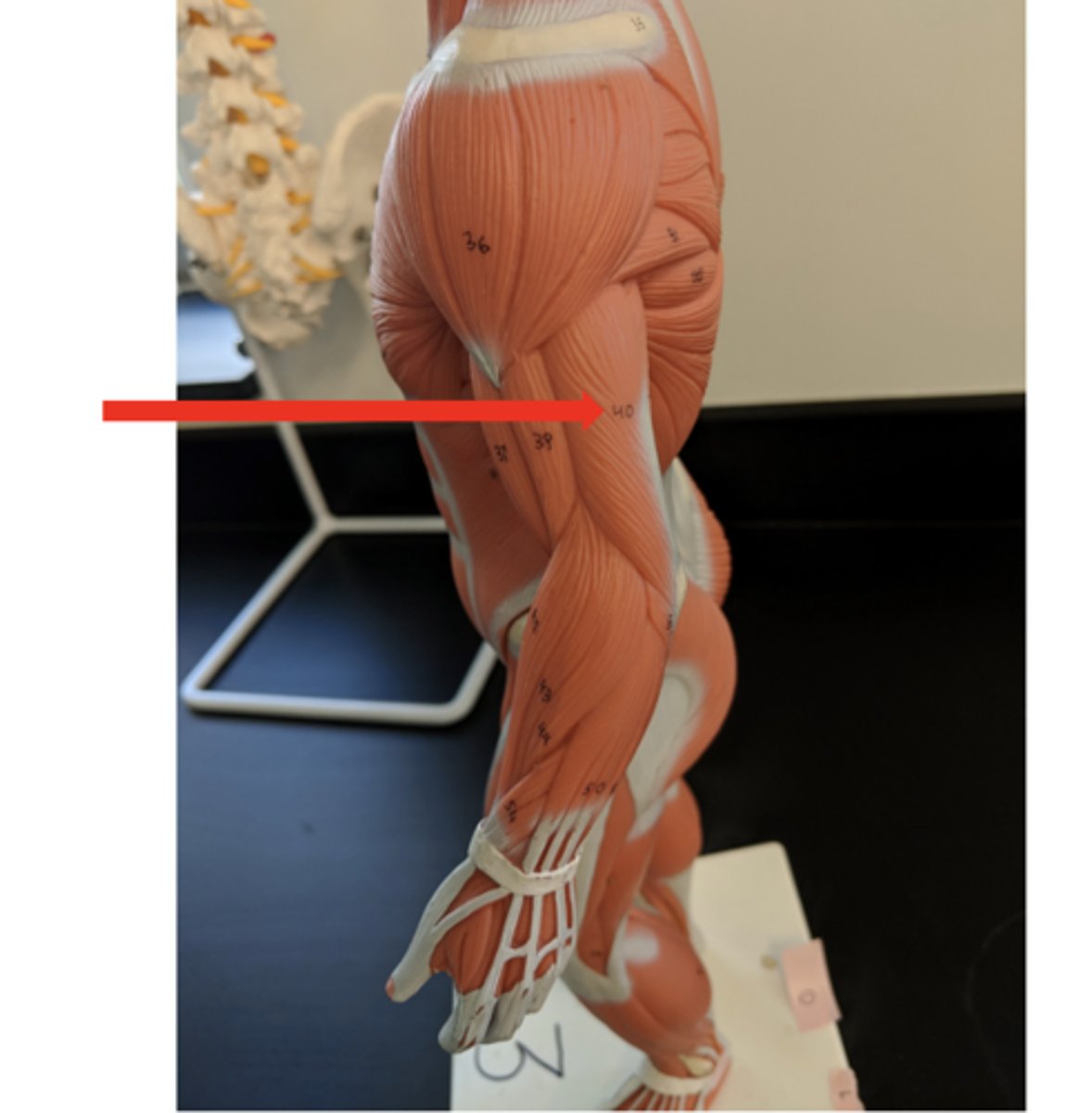 <p>what is this?</p>