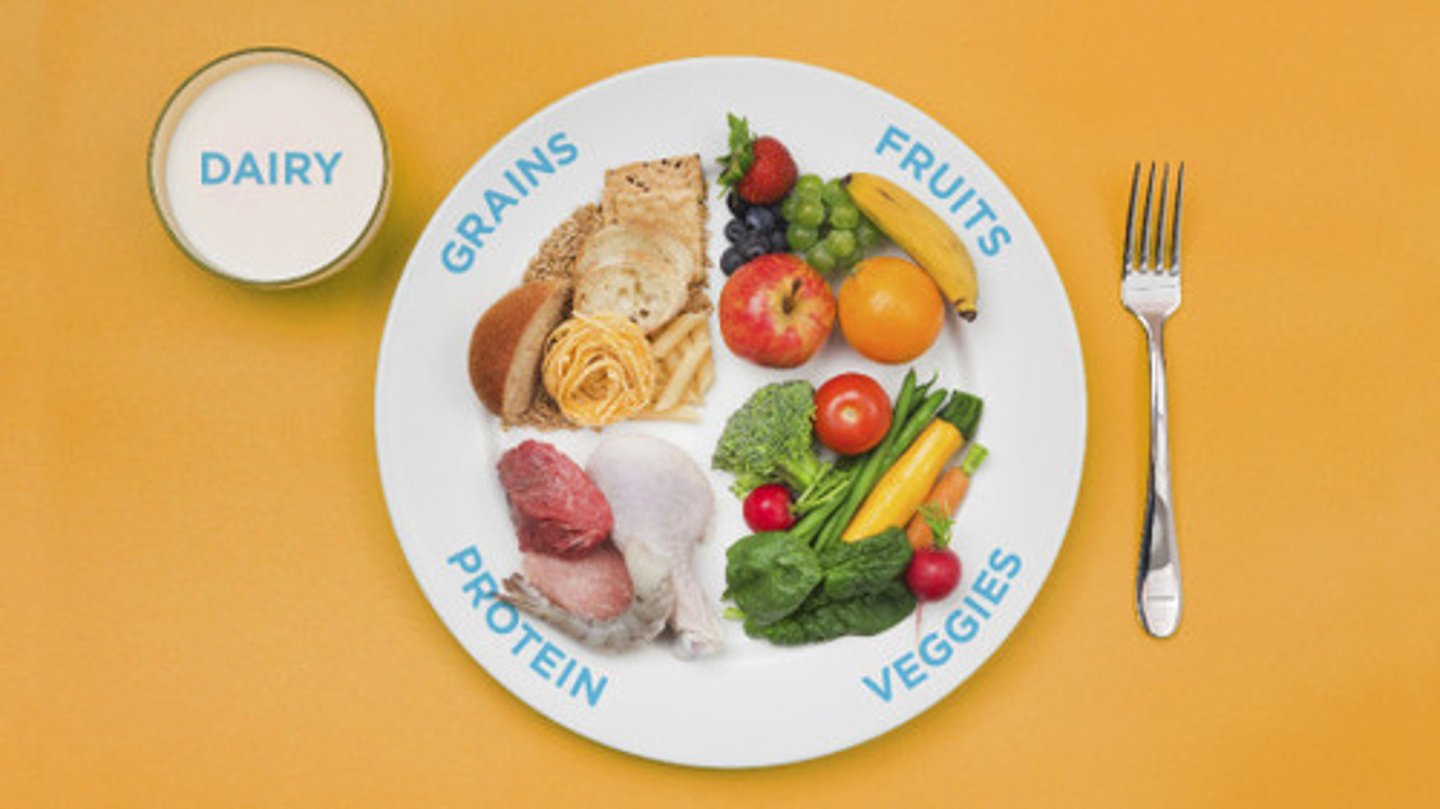 <p>a diet with the right types and amounts of food : chế độ ăn cân bằng</p>