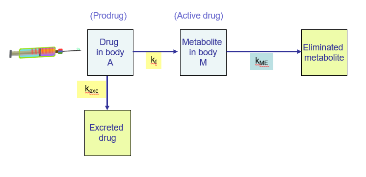 <p><strong>Kexc</strong> is the rate constant for the <strong>excretion</strong> of the drug. Once the drug has been metabolized into its active form, it is eventually eliminated from the body, typically through the kidneys or liver. <strong>Kexc</strong> refers to the elimination of the drug (either the pro-drug or the active drug) from the body.</p>