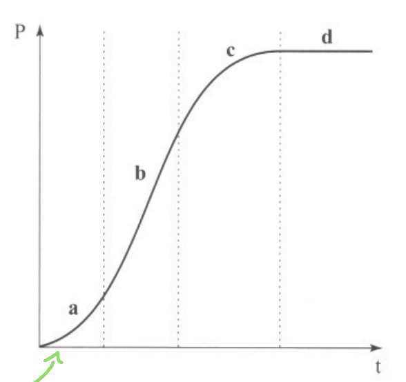 <p>In the following plot which is of the Michaelis-Menton Theory, there are 4 phases of the plot of [P] vs time. What does A represent?</p>