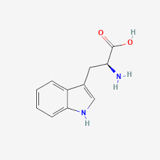 <p>Tryptophan structure:</p>