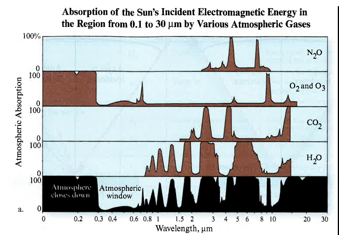 <p>Explain this plot</p>