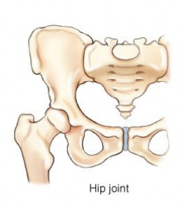 <p>joint type</p>
